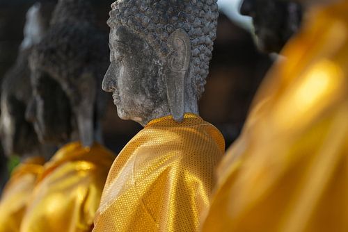 Meditation encased in stone
