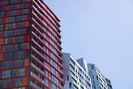 Het nieuwe Rotterdam