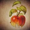 Roter Apfel - Antike Zeichnung eines roten Apfels von Jan Keteleer