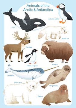 Dieren van de Noordpool en Antarctica van Judith Loske