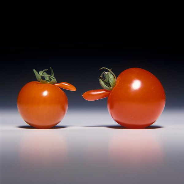Deux tomates avec un nez se parlent par Frans Rombout