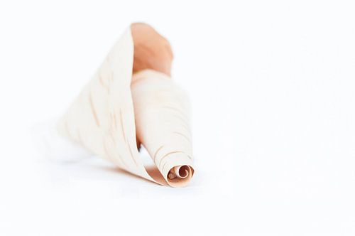 365 natuurstructuren - dag 1