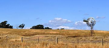 Eolienne à Eldorado