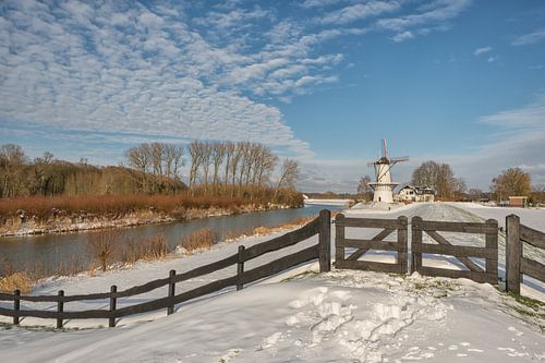 Prachtig Betuwe: Molen De Vlinder in de sneeuw