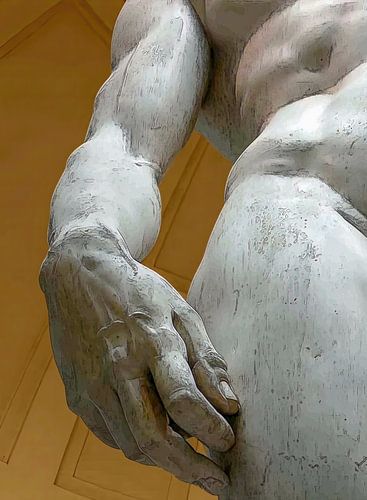 Davids Hand