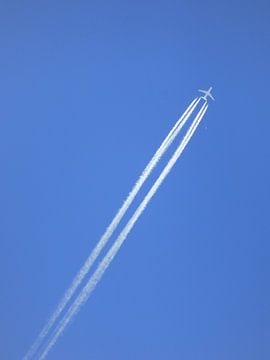 Flying in de sky van Petra Stins