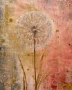 Gold and pink rustic dandelion abstracts by Floral Abstractions thumbnail