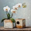 Ein modernes abstraktes Stillleben mit einer Orchidee in einer quadratischen Vase, von J.a Dijkstra
