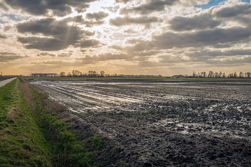 Sonnenstrahlen durch die Wolken über einem sumpfigen Feld von Ruud Morijn