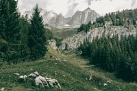 Wandelen in de Wilder Kaiser