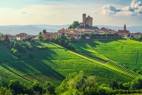 Serralunga d'Alba dorp en Langhe wijngaarden, Italië