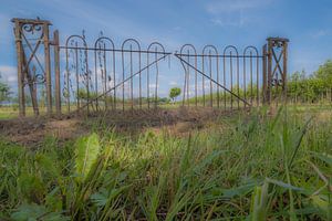 Hekwerk in weiland van Moetwil en van Dijk - Fotografie