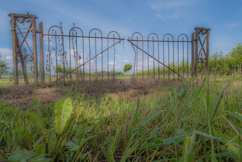 Fencing in meadows by Moetwil en van Dijk - Fotografie