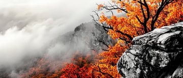 Herbstliche Berglandschaft mit Nebel von Poster Art Shop