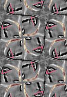 Vrouw meervoud .,femme plurielle,plural wife,moglie plurale