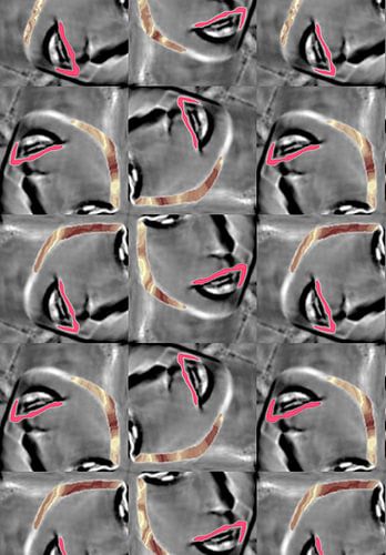 Vrouw meervoud .,femme plurielle,plural wife,moglie plurale