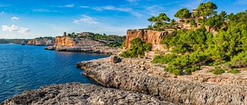 Prachtig panorama uitzicht op rotsachtige kust van Santanyi op Mallorca van Alex Winter