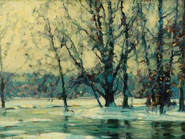 John F. Carlson~Snowy Waters