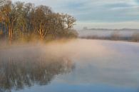 Sunlight in the morning mist by Bernhard Kaiser thumbnail