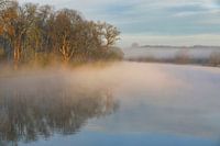 Sunlight in the morning mist