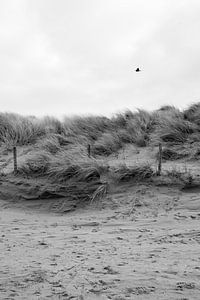 Plage et dunes en noir et blanc sur Evelien van Rijn