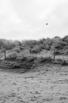 Strand en duinen in zwart-wit