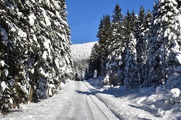 A country road in winter by Claude Laprise