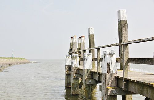 Texel Zeezicht 015