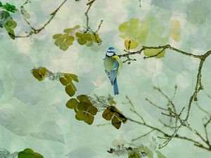 Mésange bleue dans un environnement fleuri