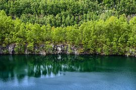 Schönes Grün von Sven Löbbert