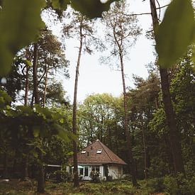 Holiday cottage in Norg by Rob Veldman