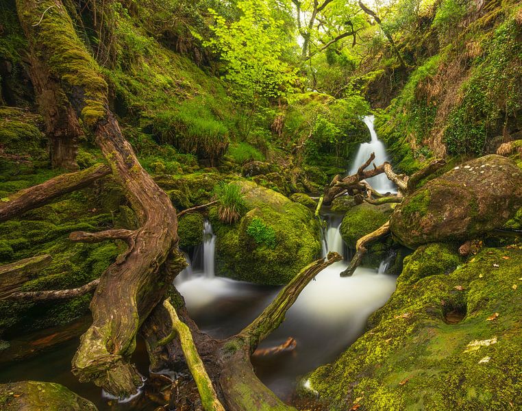 Tomies Wood - O&#039;Sullivans Cascade (Ireland) by Marcel Kerdijk