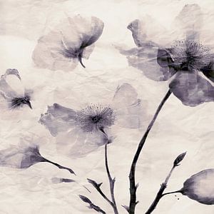 Mystic Element eine Japandi Blüten Abstrakt Modern