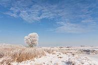 Winter Landschap van Volt thumbnail