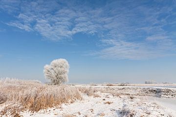 Winter Landschap von Frenk Volt