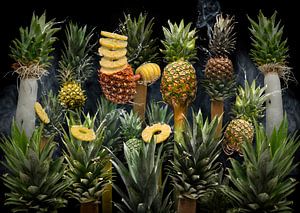 Ananas amazone van Olaf Bruhn