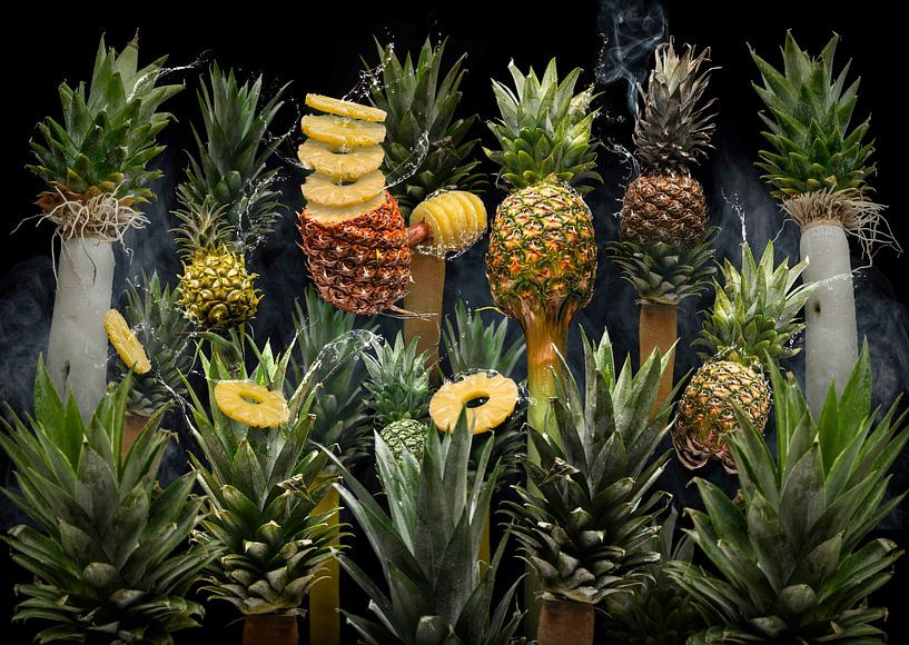 Ananas amazonas von Olaf Bruhn