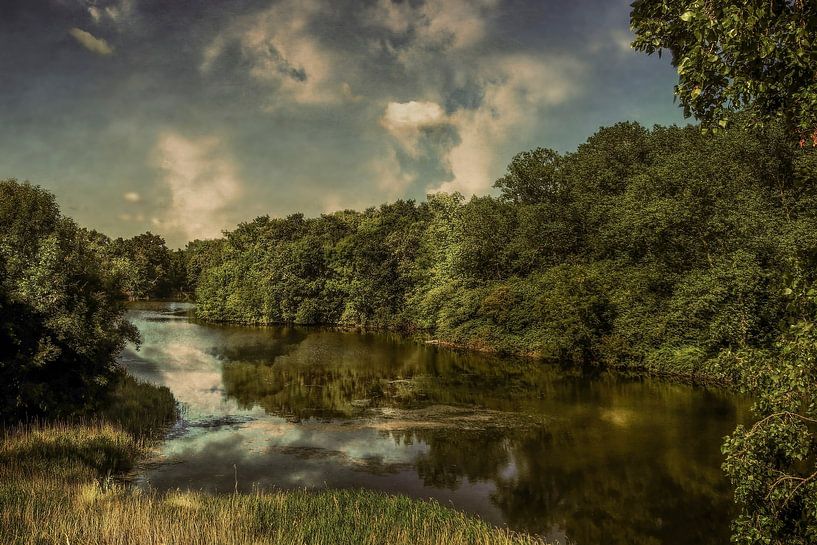 Ruysdael van Mario de Lijser