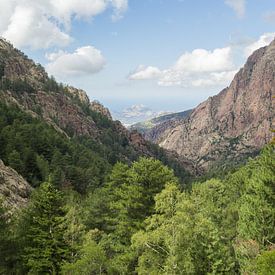 Refuge Asco Stagnu, Corsica (Frankrijk) van André Hamerpagt