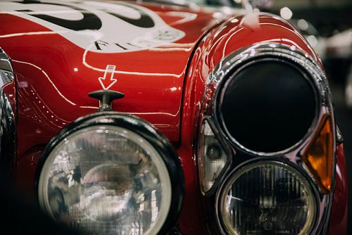 Mercedes-Benz Rotes Schwein