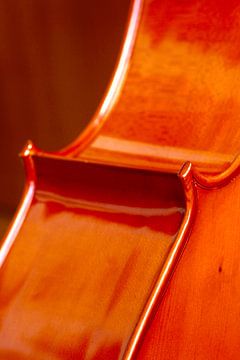 Cello van Thomas Jäger