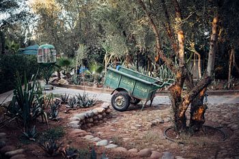 Ne bougez pas et regardez