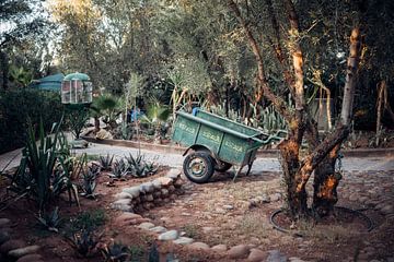 Stehen Sie still und schauen Sie