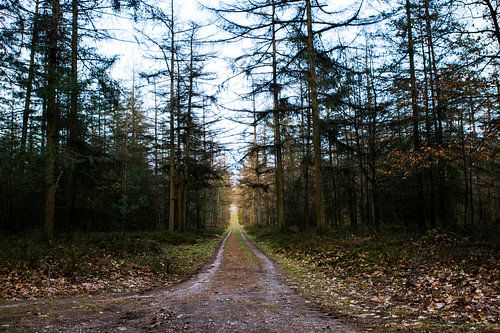 Het Leesten Ugchelen (The Netherlands)