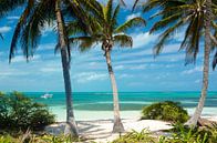 Paradise beach Mexico by Rob Bout thumbnail