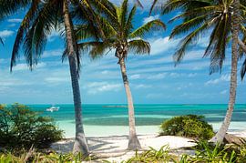 Paradies - Isla Contoy (Mexiko) von Rob Bout