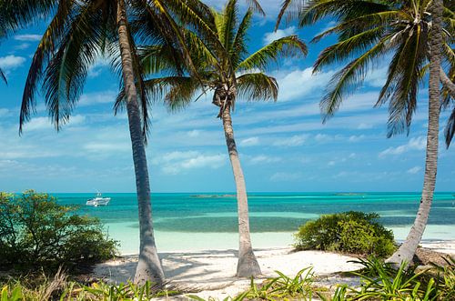 Paradise beach Mexico