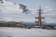 Antarktis Petermansinsel von ad vermeulen Miniaturansicht
