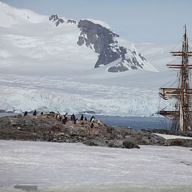 Antarctica Petermans Island van ad vermeulen