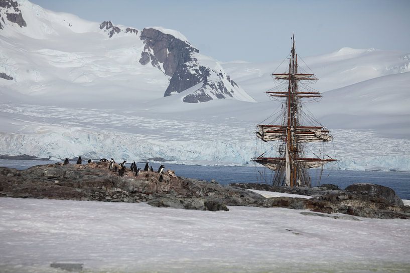 Antarktis Petermansinsel von ad vermeulen